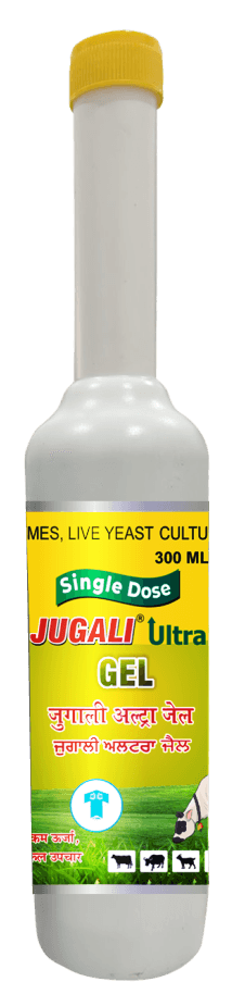 Jugali Ultra Gel (Digestive & Rumen Care - low energy condition) for cows, buffaloes, and livestock - Titanic Pharmaceuticals Pvt. Ltd.